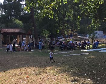 מתקבצים סביב השולחנות ומתקרבים אחד לשני. צילום: שירלי בר מוחה, קקל