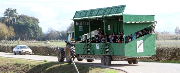 יוצאים בעגלת המסתור לצפות בציפורים ממש ממש מקרוב. צילום: לילך וייס
