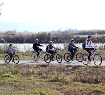 חוויה נפלאה. רוכבים על אופניים סביב לאגמון. צילום: לילך וייס