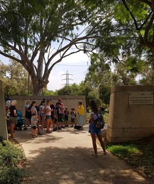 ציפורים בנחל הירקון. צילום: הדר אברהמי