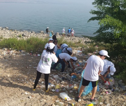 מנקים את חופי הכינרת. צילום: עיריית טבריה