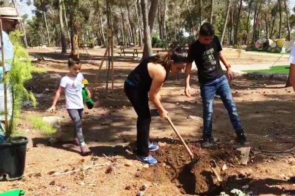 עודרים במרץ לקראת הנטיעה. צילום: פולה כהן, קק"ל
