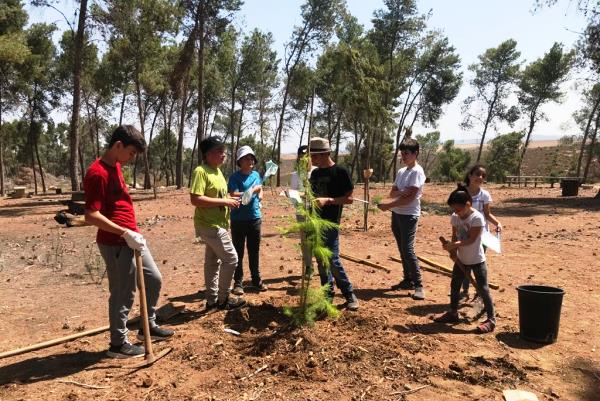 פועלים בשיתוף לשיקום היער. צילום: פולה כהן, קק"ל