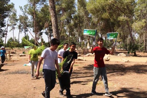 מביאים את העצים הצעירים לשתילה. צילום: פולה כהן, קק"ל