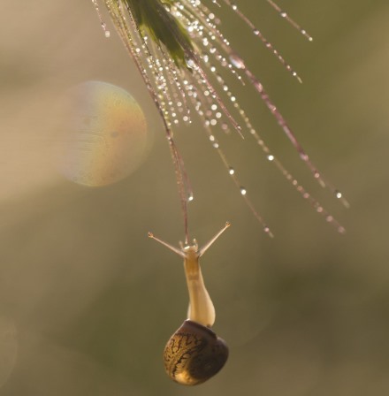 צילום: אלון מאיר