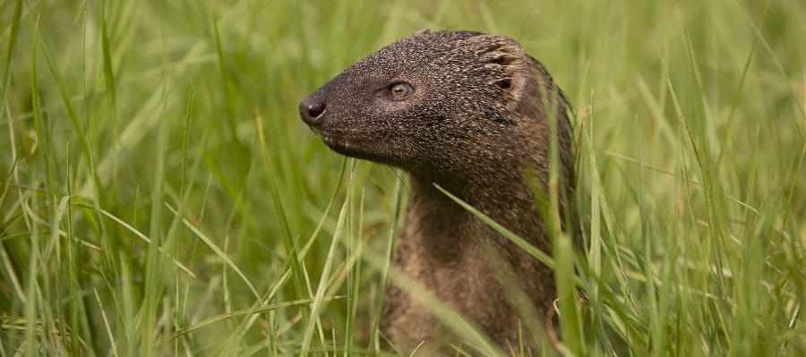 צילום: אלון מאיר