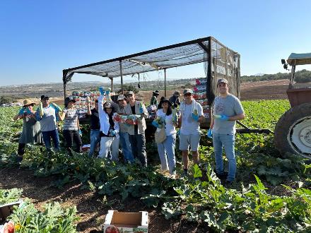 עובדי יחידת המדען הראשי בקטיף קישואים במושב תירוש. צילום: ארכיון הצילומים של קקל