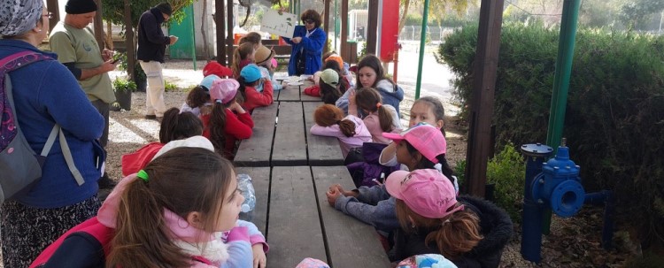 ילדות סביב שולחן ארוך מול מדריכת קק"ל