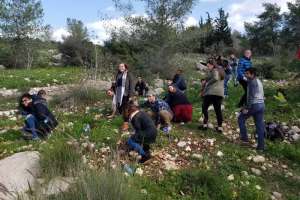 צעירים וצעירות נוטעים