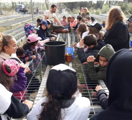 ילדים בפעילות במשתלה