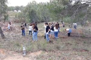 ילדים עובדים ביער
