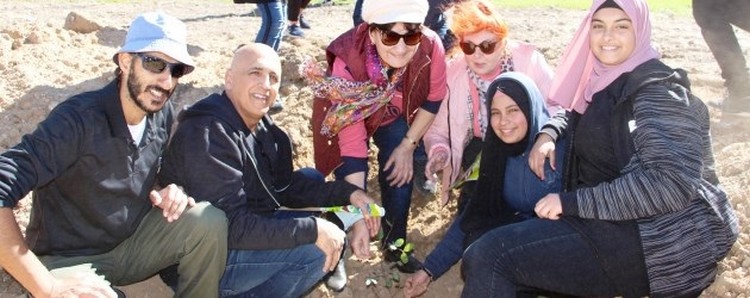 קבוצת אנשים, בדואים ויהודים, נוטעים יחד