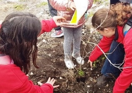 שתי נערות נוטעות
