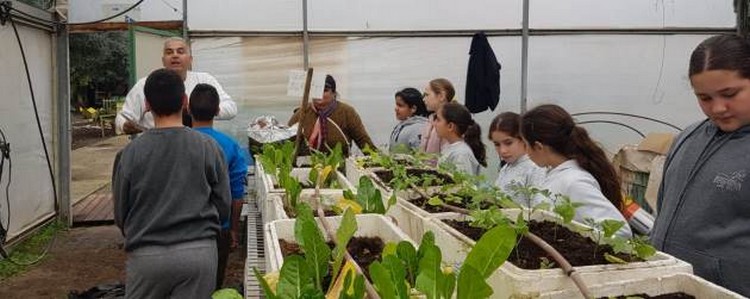 ילדים במשתלה