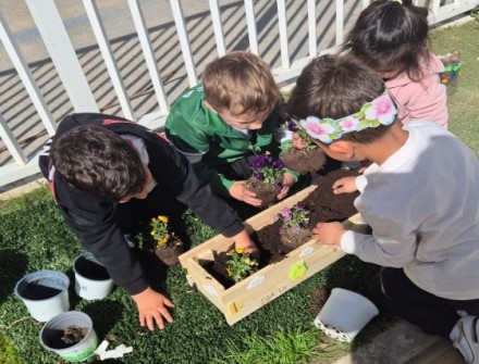 הילדים בנו אדניות ושתלו בהן שתילים. צילום באדיבות מרחב דרום של קקל