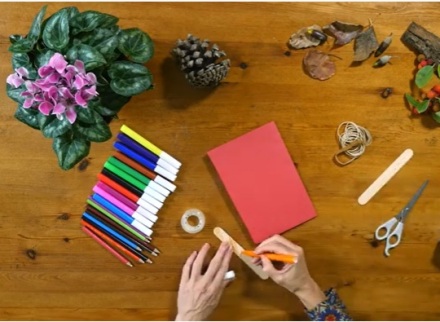 צילום מתוך הסרטון