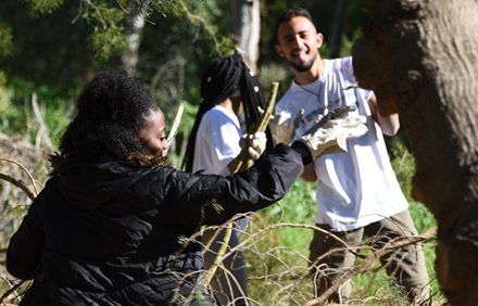 צילום: יואב לין, ארכיון הצילומים של קקל
