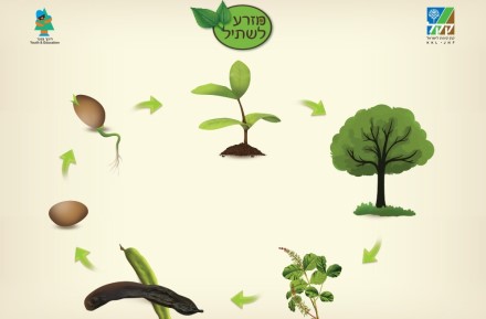 עזר גלגולו של עץ