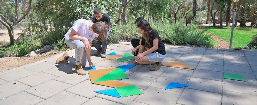 טנגרם צפרות. צילום: ארכיון הצילומים של קקל