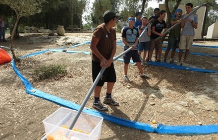 תחנה כחולה. צילום: רוני אוזן, מרכז שדה נס הרים
