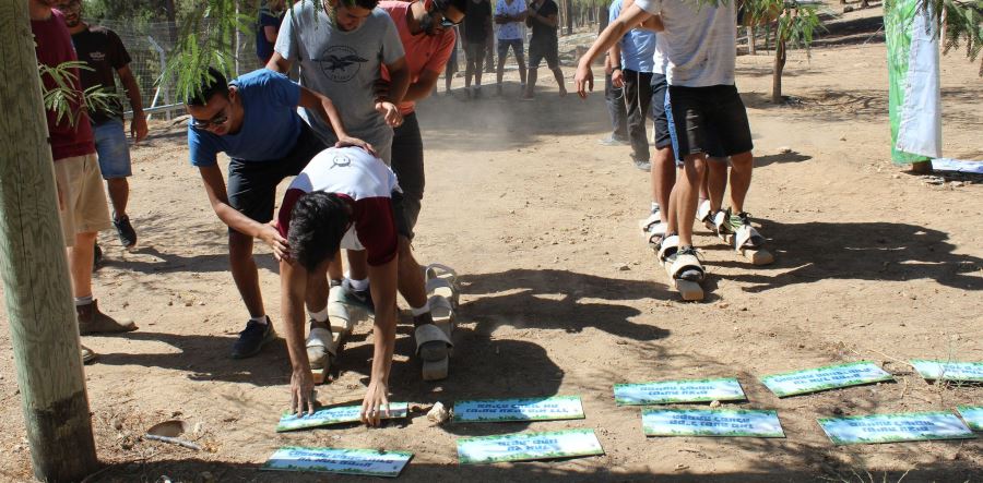 סנדלים – עץ אחד. צילום: לינור שאוליאן, ארכיון הצילומים של קקל