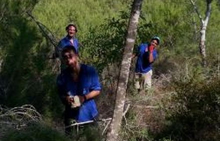 עבודה תורמת ביער. צילום: קקל