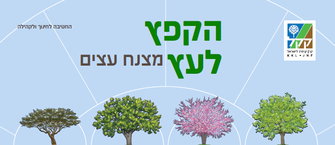 צילום: ארכיון הצילומים של קקל
