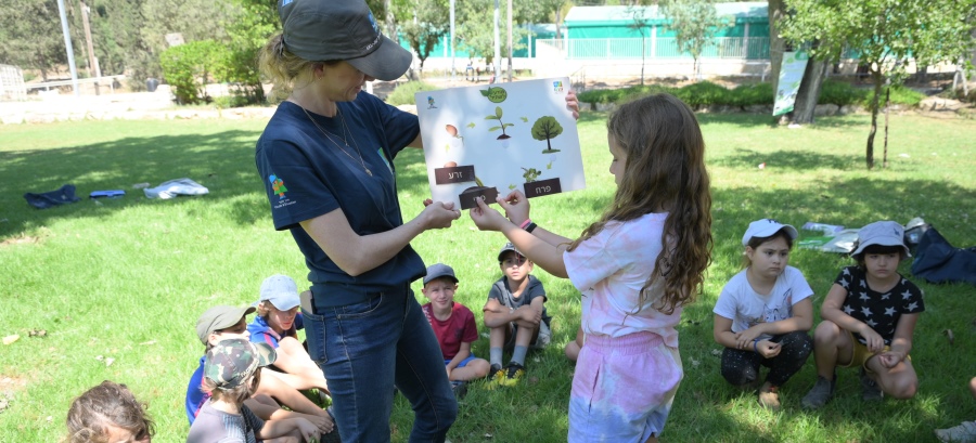 פעילות מזרע לשתיל. צילום: מיכאל חורי, ארכיון הצילומים של קקל