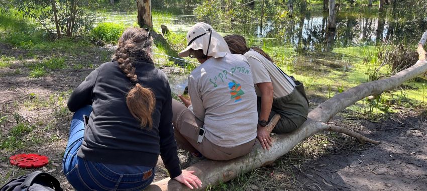 מדריכי קקל בהדרכה. צילום:  אדוה קימלפלד, ארכיון הצילומים של קקל