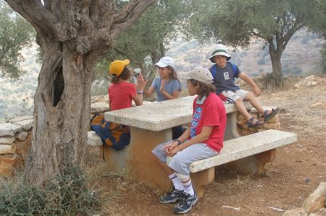יוצאים לטבע. צילום: ארכיון הצילומים של קק''ל