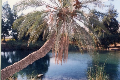 עין מודע. צילום: מיכאל חורי