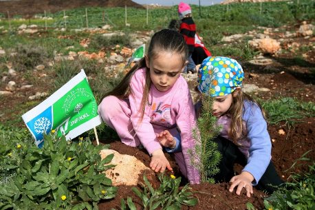 נטיעות עם קקל. תצלום: דרור ארזי, באדיבות ארכיון הצילומים של קק''ל