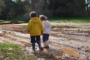 נהנים מהקרקע הבוצית. צילום: אדוה קימלפלד
