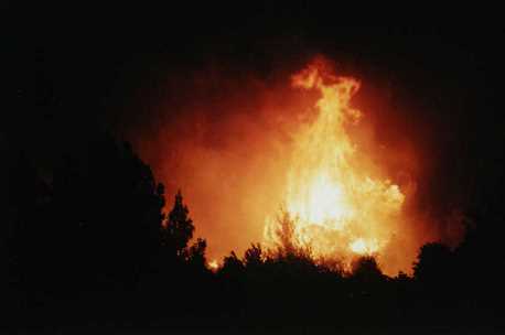 שריפה בפארק קנדה. תצלום: פלאש 90, באדיבות ארכיון הצילומים של קק''ל