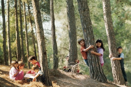 ילדים משחקים בין העצים ביער בן שמן. צילום: חווי בראון, קק''ל