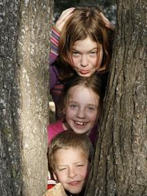 בין העצים. צילום: דן זמיר