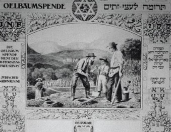 תעודת תרומת עצי זית של קקל. צילום: אברהם מלבסקי, ארכיון הצילומים של קקל