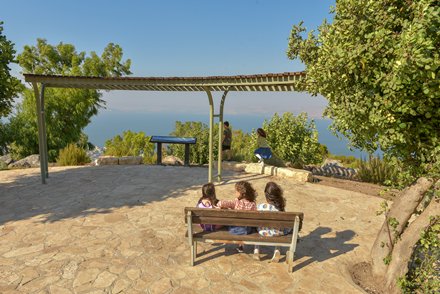 מצפור קרל לוץ ביער שווייץ. צילום: ארכיון הצילומים של קקל
