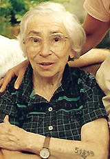 שרה גוטפרוינד