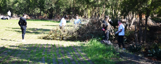 החניכים עובדים במלוא המרץ ותורמים לסביבה. צילום: יואב לין