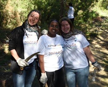 כאן משקמים את היערות הפגועים. צילום: יואב לין