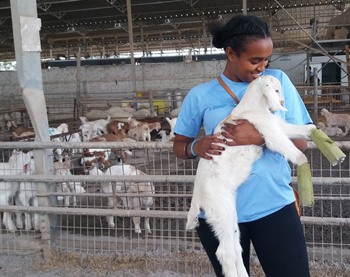 באנו להכיר את הנגב! צילום: לינור שאוליאן. קקל