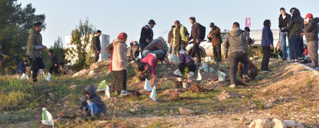 טו בשבט ראשון בארץ. עולים חדשים עם חניכי מכינת תבור. צילום: מיכאל חורי. ארכיון הצילומים של קקל