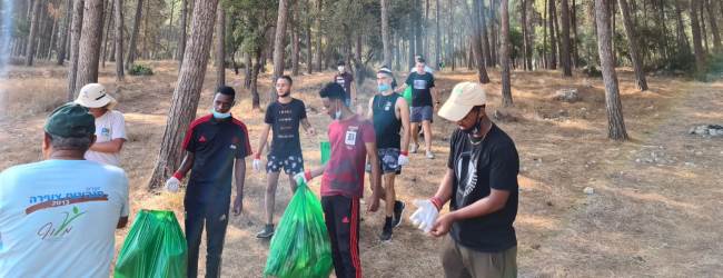 הפשילו שרוולים והשפיעו לטובה על הסביבה הקרובה. חניכי המכינה ביער ציפורי. צילום באדיבות מכינת תפארת גור אריה