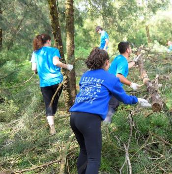 עובדים במרץ ביער לסלול סינגל אופניים חדש. צילום: יוסי איפרגן