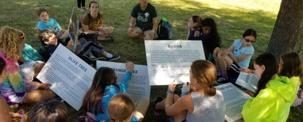 מה עושים פה? לומדים על עצי ארץ ישראל במהלך פעילות מהנה. צילום: זהר ולוסקי, שליח קקל בארהב