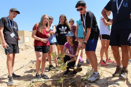 אני נטעתי עץ בארץ ישראל. צילום: יואב דביר