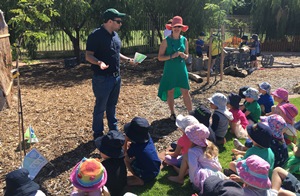 כשיגדלו, יבקרו את העץ שבישראל. צילום: ניקי לייב