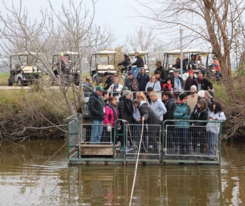 מבקרים באגמון החולה מלא המים. צילום: יואב לין