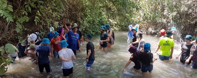 מחנה הקיץ של הדרומיים - חלון ירוק - אתר הצעירים של קקל
